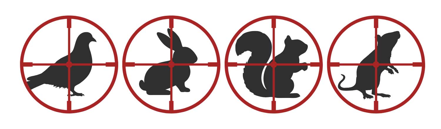 Pellpax-Pest-Icons