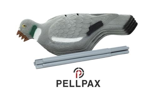 Flocked Feeder Wood Pigeon Shell Set of 4