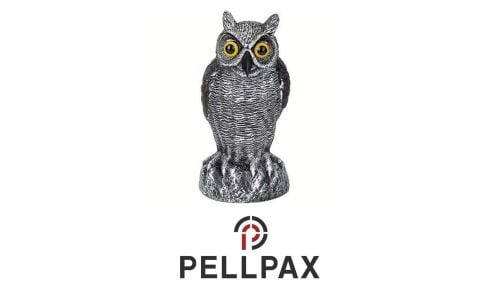 Little Owl Decoy