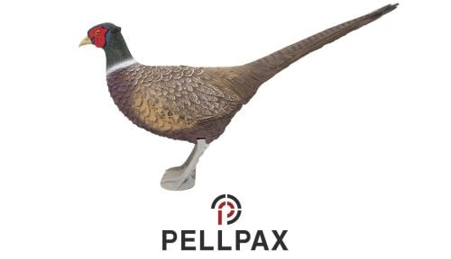 Sport Plast Pheasant Decoy w/ Legs