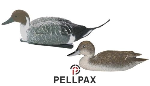 Sport Plast Pintail Decoy
